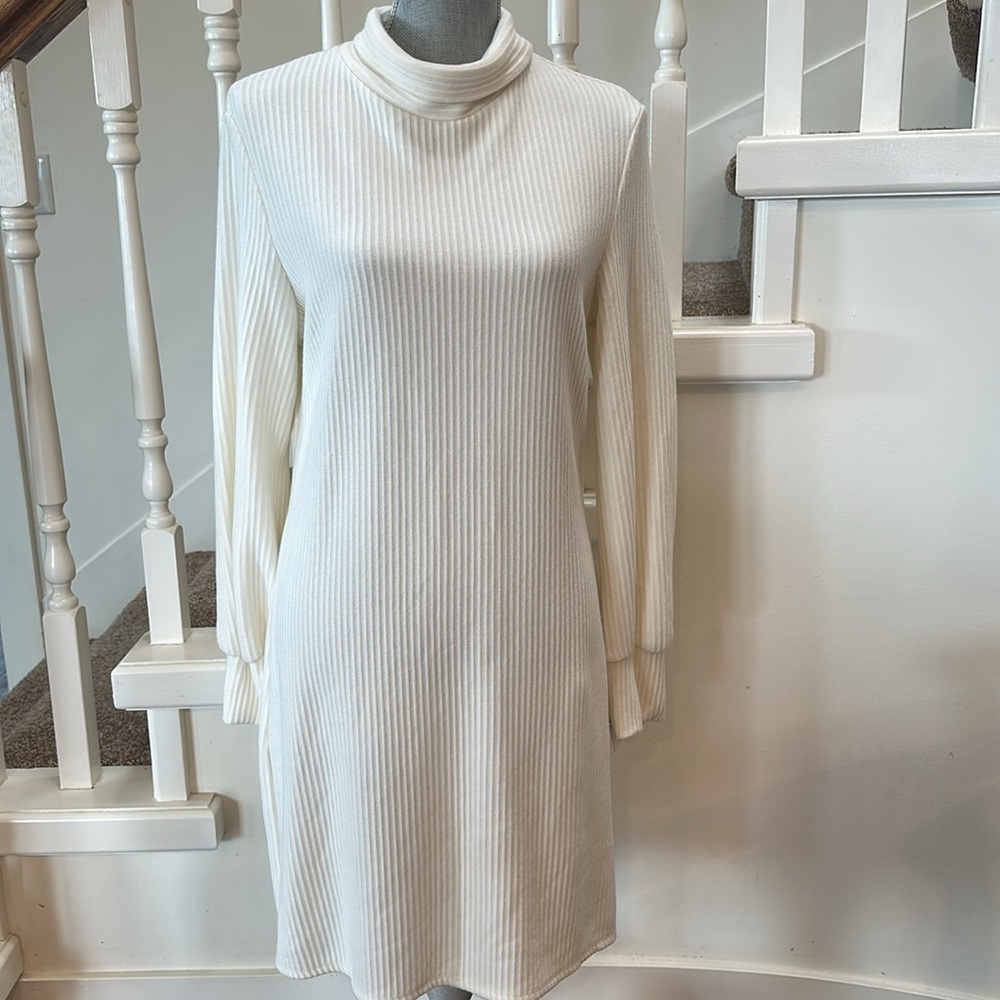 Nwt. Tash and Sophie sweater dress